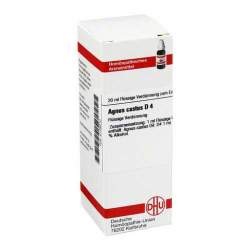 Agnus castus D4 DHU Dil. 20 ml