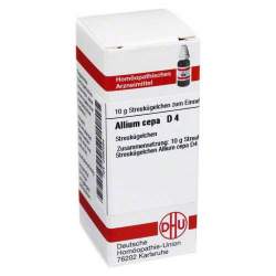 Allium cepa D4 DHU Glob. 10 g