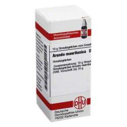 Arundo mauritanica D12 DHU Glob. 10 g