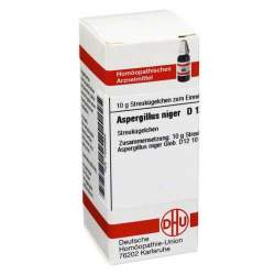 Aspergillus niger D12 DHU Glob. 10 g