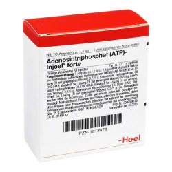 ATP Injeel forte 10 Amp.