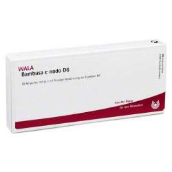 Bambusa e nodo D6 Wala 10 x1ml Amp.