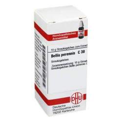 Bellis perennis C30 DHU Glob. 10g