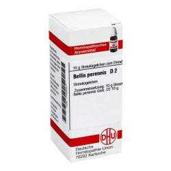 Bellis perennis D2 DHU Glob. 10 g