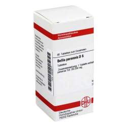 Bellis perennis D6 DHU 80 Tbl.