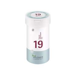 Biochemie Nr.19 Cuprum arsenic. D6 Pflüger 400 Tbl.