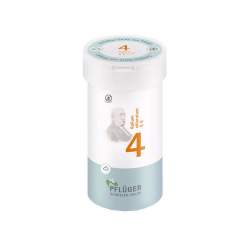 Biochemie Nr.4 Kal. chlor. D6 Pflüger Pulv. 100 g