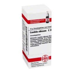 Candida albicans C30 DHU Glob. 10g