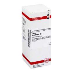 Carbo vegetabilis D6 DHU 50ml Dil.
