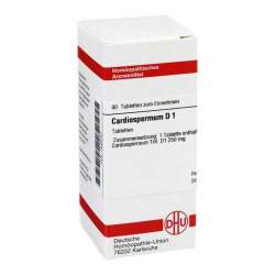 Cardiospermum D1 DHU 80 Tbl.