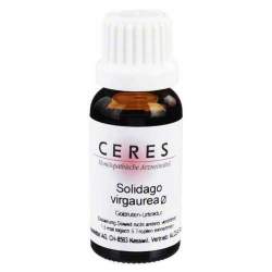 Ceres Solidago virgaurea Urtinktur 20 ml