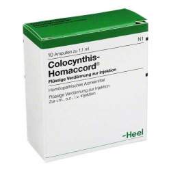 Colocynthis-Homaccord® 10 Amp. Inj.-Lsg.