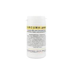 CURCUMA PROTECT Kapseln