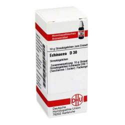 Echinacea HAB D30 DHU Glob. 10 g