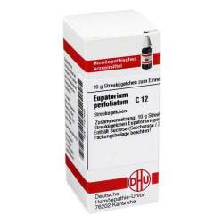 Eupatorium perfoliatum C12 DHU Glob. 10 g