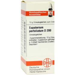 Eupatorium perfoliatum D200 DHU 10g Glob.