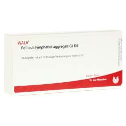 Folliculi lymphatici aggregati GI D6 Wala 10x1ml Amp.