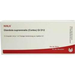 Glandula Supraren. Cort. Gl D12 Wala Amp. 10x1ml