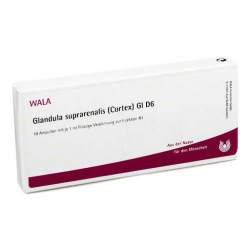 Glandula Supraren. Cort. Gl D6 Amp. Wala 10x1ml