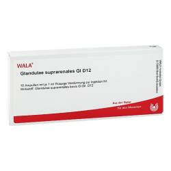 Glandulae suprarenales Gl D12 Wala 10x1ml Amp.