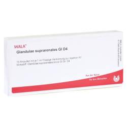 Glandulae suprarenales Gl D4 Wala 10 x1ml Amp.