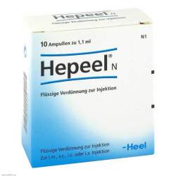 Hepeel N 10 Amp.