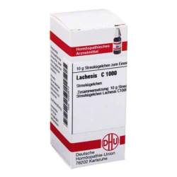 Lachesis C1000 DHU Glob. 10 g