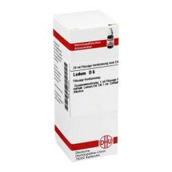Ledum D6 DHU 20ml Dil.