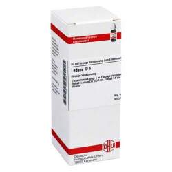 Ledum D6 DHU 50ml Dil.