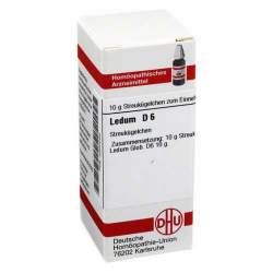 Ledum D6 DHU Glob. 10g