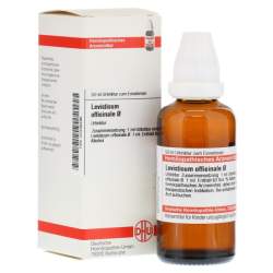 Levisticum officinalis Urinktur DHU Dil. 50 ml