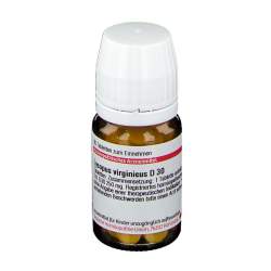 Lycopus virginicus D30 DHU 80 Tbl.
