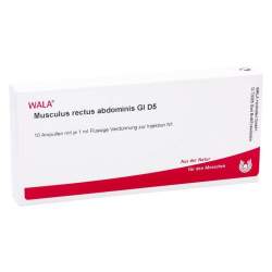Musculus Rectus Abdominis Gl D5 Wala Amp. 10x1ml