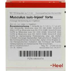 Musculus suis-Injeel forte 10 Amp.