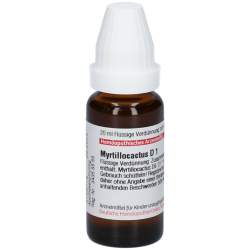 Myrtillocactus D1 DHU Dil. 20 ml
