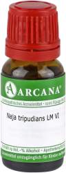 Naja tripudians Arcana LM 6 Dilution 10ml