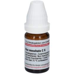 Nux moschata C6 DHU Glob. 10 g