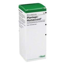 Plantago-Homaccord® 30ml Tropf.