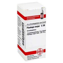Plantago major C30 DHU 10g Glob.