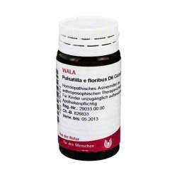Pulsatilla E Floribus D6 Wala Glob. 20g