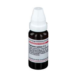 Raphanus sativus D6 DHU 20ml Dil.