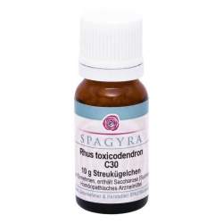 Rhus toxicodendron C 30 Spagyra Globuli 10g