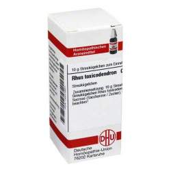 Rhus toxicodendron C6 DHU 10g Glob.