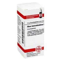 Rhus toxicodendron D3 DHU 10g Glob.