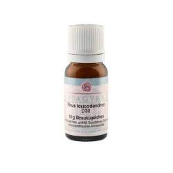 Rhus toxicodendron D30 Spagyra Globuli 10g
