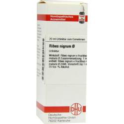 Ribes nigrum Urtinktur DHU Dil. 20 ml