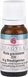 Ruta graveolens D30 Spagyra Globuli 10g