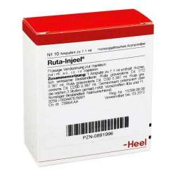 Ruta Injeel 10 Amp.