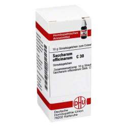Saccharum officinarum C30 DHU Glob. 10g