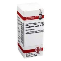 Sambucus nigra D12 DHU 10 g Glob.
